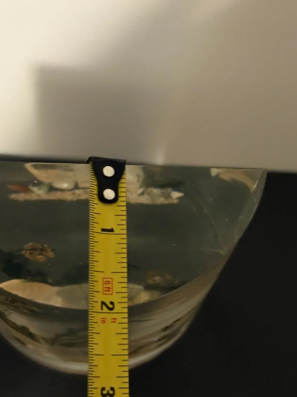Vintage Acrylic Clear Float Seashell Single Bookend